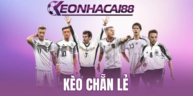 Giới thiệu top hình cược E/O thịnh hành 