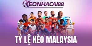 Người chơi nên áp dụng bí quyết soi kèo hiệu quả