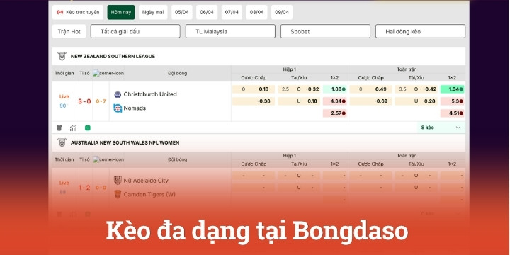 Tỷ lệ kèo đa dạng, uy tín và có tính chính xác cao trên Bongdaso
