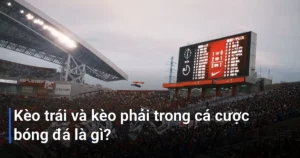 Kèo trái và kèo phải là hai thuật ngữ cơ bản nhất mà bạn cần nắm vững khi tham gia cá cược bóng đá - kèo trái và kèo phải