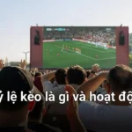 hiểu nhà cái tính kèo như thếnào, trước tiên bạn cần biết về "phòng tỷ lệ kèo" - nơi sinh ra mọi con số cá cược - nhà cái