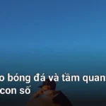 Đừng lo lắng nếu bạn đang bối rối trước hàng loạt con số trên bảng kèo nhà cái - ý nghĩa các số trong bảng kèo