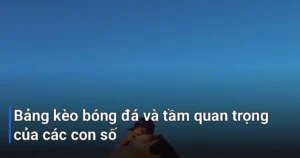 Đừng lo lắng nếu bạn đang bối rối trước hàng loạt con số trên bảng kèo nhà cái - ý nghĩa các số trong bảng kèo